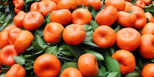 TIENDA DE ALIMENTACIÓN LOS PALACIOS