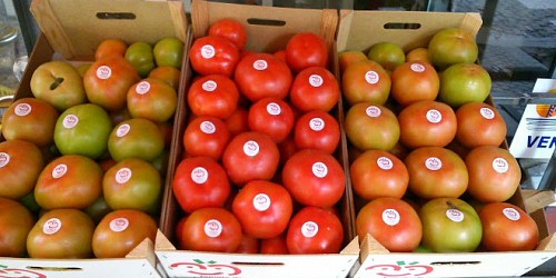 TIENDA DE ALIMENTACIÓN LOS PALACIOS
