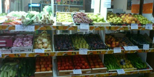 TIENDA DE ALIMENTACIÓN LOS PALACIOS