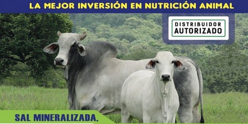 AGROFORSAL