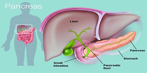 VESICULA Y APENDICE  EN CANCUN  DR. EDGAR BENITEZ  CEJUDO