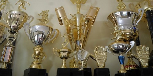 EL PALACIO DEL TROFEO