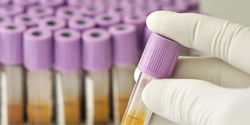 Centro Polidiagnostico e Terapeutico Saccense srl