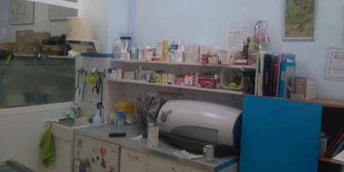 CLÍNICA VETERINARIA LUIS MONTOTO