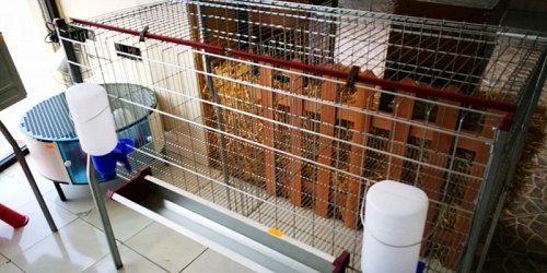 Zooimport S.A. Agroinsumos Zootécnicos e Importación