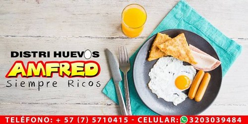 DISTRIHUEVOS AMFRED