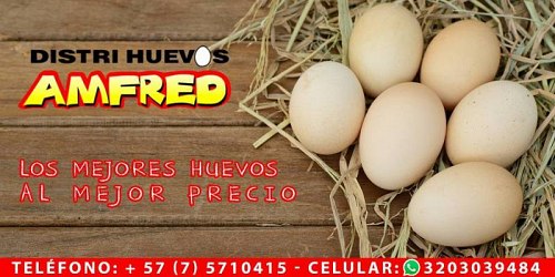 DISTRIHUEVOS AMFRED