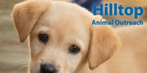 HILLTOP ANIMAL OUTREACH