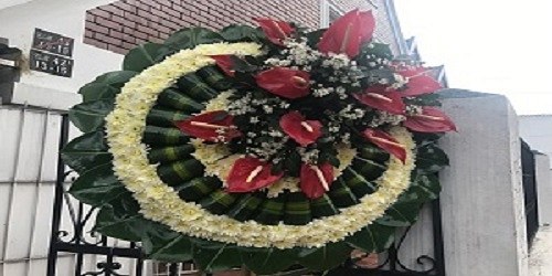 FLORES ACAPULCO