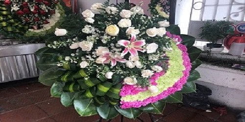 FLORES ACAPULCO