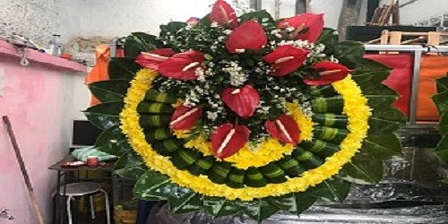 FLORES ACAPULCO
