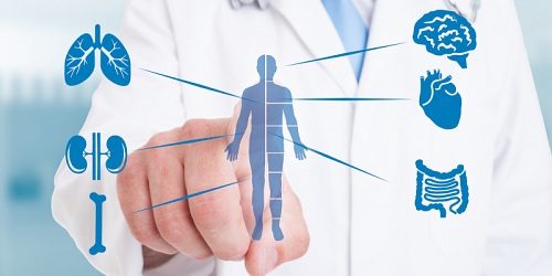 Dr. Sebastián Cabezas Andrade Endocrinólogo