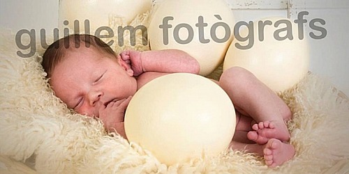 FOTO GUILLEM