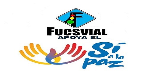 FUCSVIAL ASESORIA EN TRANSITO