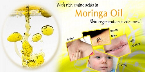 Liv's Perfect Life Moringa