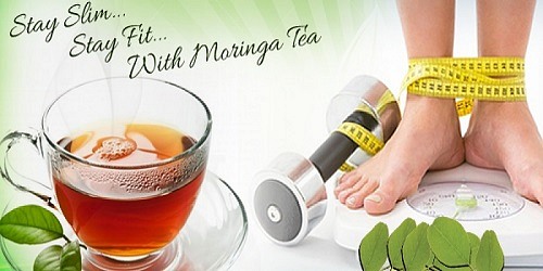 Liv's Perfect Life Moringa