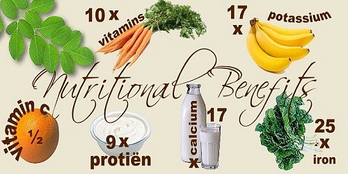 Liv's Perfect Life Moringa