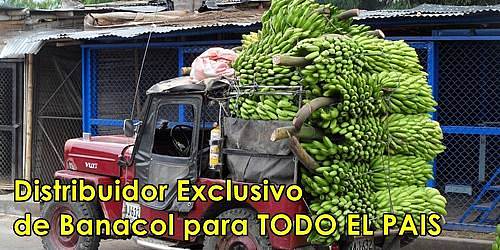 AGROESPECIAL