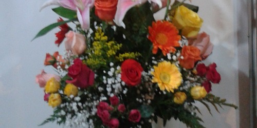 ENCANTOS FLORISTERIA