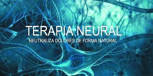 HOMOTOXICOLOGIA Y ACUPUNTURA EN CANCUN DRA. LILIANA CAMPOS