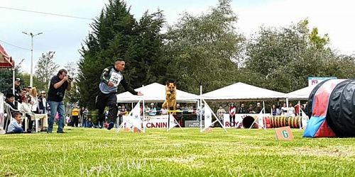 Campamento Canino Juan Carlos Montalvo