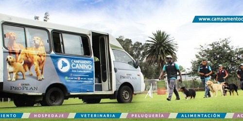 Campamento Canino Juan Carlos Montalvo