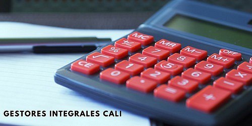 GESTORES INTEGRALES