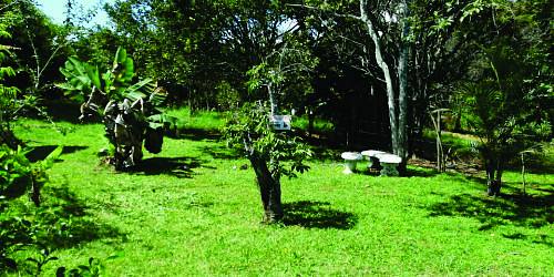 Fundación Semilleros
