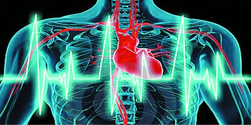CARDIOLOGISTS IN COZUMEL  THE CLINICS OF THE HEART