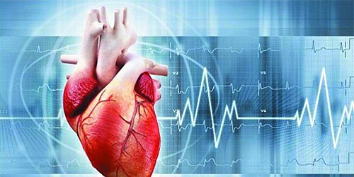 CARDIOLOGISTS IN COZUMEL  THE CLINICS OF THE HEART