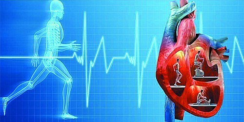 CARDIOLOGISTS IN COZUMEL  THE CLINICS OF THE HEART