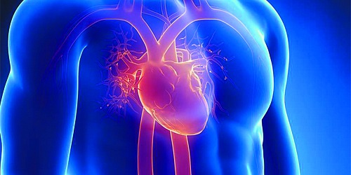 CARDIOLOGISTS IN COZUMEL  THE CLINICS OF THE HEART