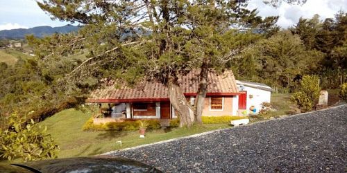 Aliados E Inmobiliaria