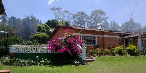 Aliados E Inmobiliaria