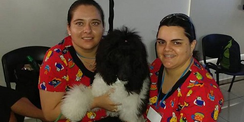 PERROGATO
