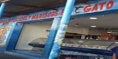 Distribuidora de Pescados y Mariscos Gato sas