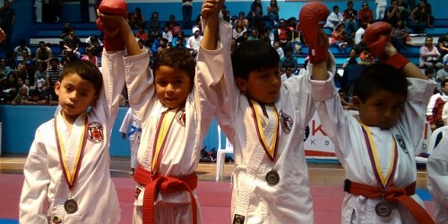 Club Deportivo Formativo de Karatedo ENOEDA