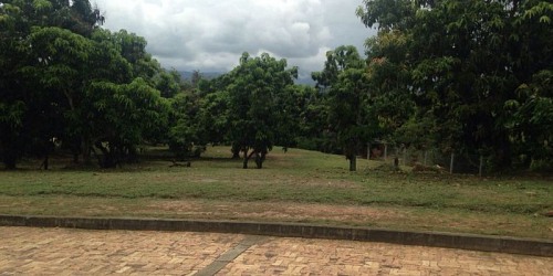 VENTA DE LOTES EN ANAPOIMA
