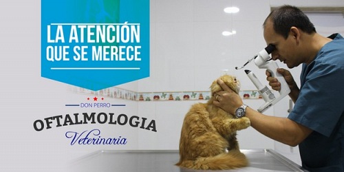 Veterinaria Clínica Don Perro