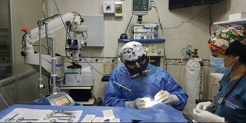 Veterinaria Clínica Don Perro