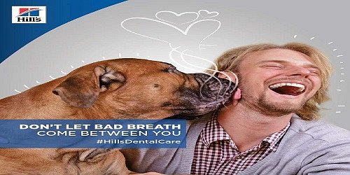 Pretoria North Animal Clinic