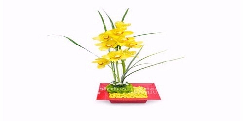 Estatus Floristeria 
