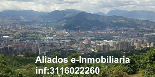 Aliados E Inmobiliaria