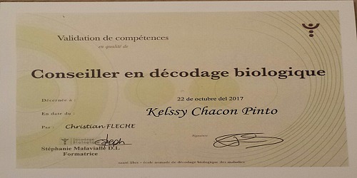 Constelaciones Familiares - Kelssy Chacon Pinto
