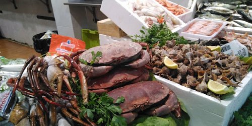 PESCADERÍA Y FRUTERÍA MALDONADO