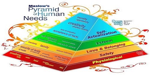WellUnique Wellness HUB