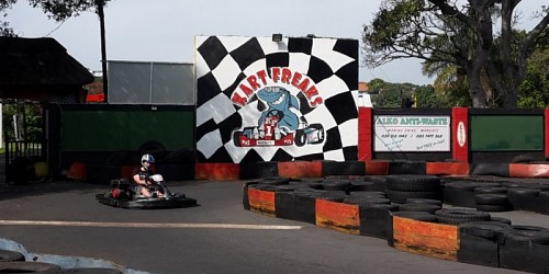 Kart Freaks