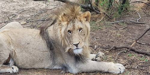 TIKWE RIVER LODGE & GLASHUIS B&B
