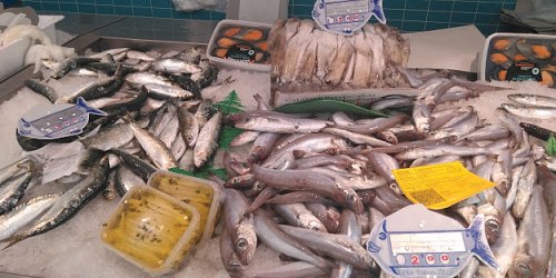 PESCADOS Y MARISCOS SORUCO