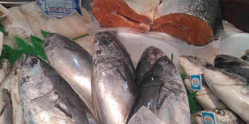 PESCADOS Y MARISCOS SORUCO